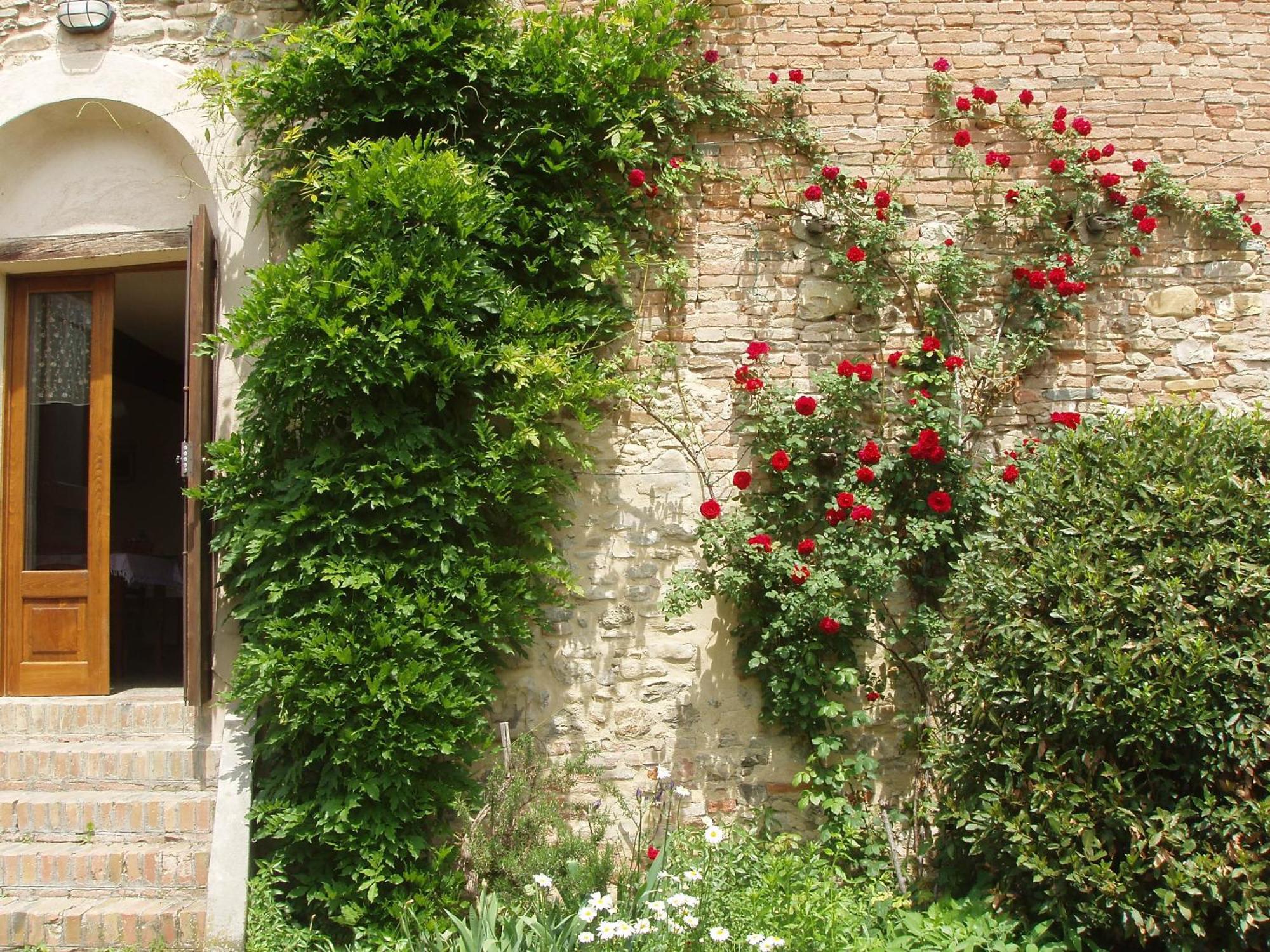 Agriturismo Ca' Bertu' Zappolino Exterior photo